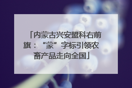 内蒙古兴安盟科右前旗：“蒙”字标引领农畜产品走向全国