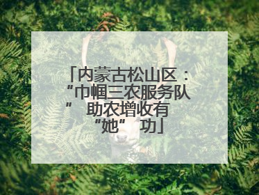 内蒙古松山区：“巾帼三农服务队” 助农增收有 “她” 功