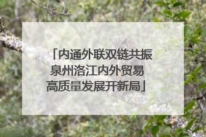 内通外联双链共振 泉州洛江内外贸易高质量发展开新局