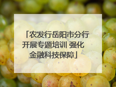 农发行岳阳市分行开展专题培训 强化金融科技保障