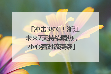 冲击38℃！浙江未来7天持续晴热，小心强对流突袭