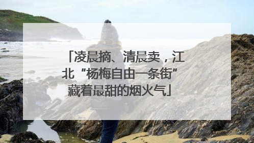 凌晨摘、清晨卖，江北“杨梅自由一条街”藏着最甜的烟火气