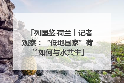 列国鉴·荷兰丨记者观察：“低地国家”荷兰如何与水共生