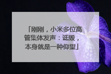刚刚，小米多位高管集体发声：诋毁，本身就是一种仰望