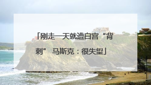 刚走一天就遭白宫“背刺” 马斯克：很失望