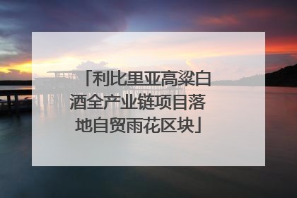 利比里亚高粱白酒全产业链项目落地自贸雨花区块
