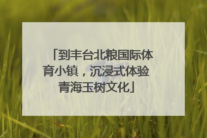 到丰台北粮国际体育小镇，沉浸式体验青海玉树文化
