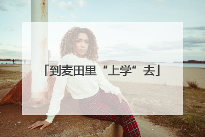 到麦田里“上学”去