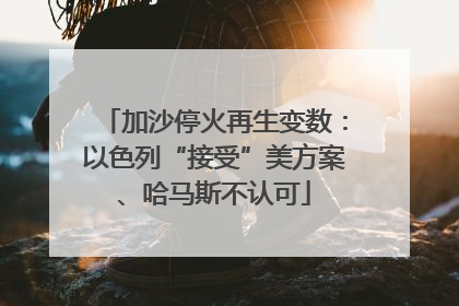 加沙停火再生变数:以色列“接受”美方案、哈马斯不认可