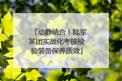 动静结合！陆军某团实战化考核检验装备保养质效