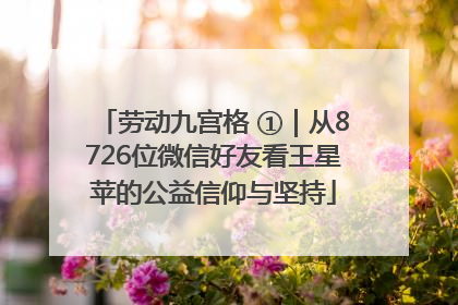 劳动九宫格 ①｜从8726位微信好友看王星苹的公益信仰与坚持
