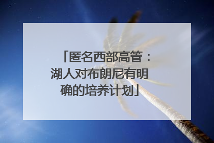 匿名西部高管：湖人对布朗尼有明确的培养计划