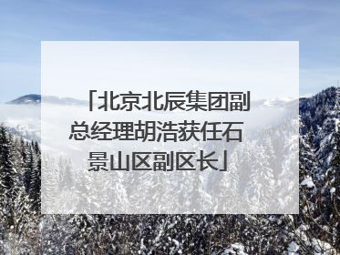 北京北辰集团副总经理胡浩获任石景山区副区长