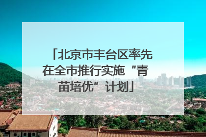 北京市丰台区率先在全市推行实施“青苗培优”计划