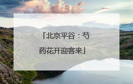 北京平谷：芍药花开迎客来