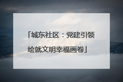 城东社区：党建引领绘就文明幸福画卷
