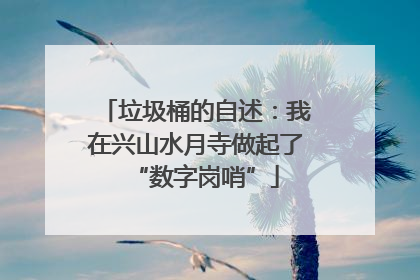 垃圾桶的自述：我在兴山水月寺做起了“数字岗哨”