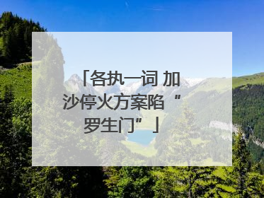 各执一词 加沙停火方案陷“罗生门”