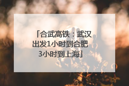 合武高铁：武汉出发1小时到合肥3小时到上海