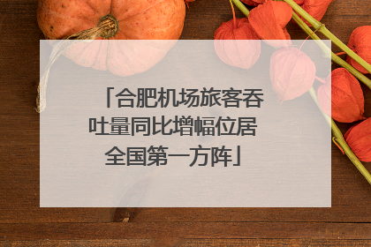 合肥机场旅客吞吐量同比增幅位居全国第一方阵