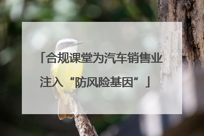 合规课堂为汽车销售业注入“防风险基因”