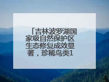 吉林波罗湖国家级自然保护区生态修复成效显著，珍稀鸟类10年增加5倍