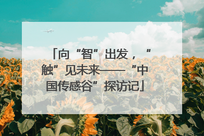 向“智”出发，“触”见未来——“中国传感谷”探访记