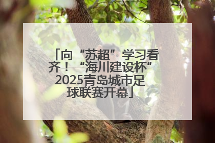 向“苏超”学习看齐！“海川建设杯”2025青岛城市足球联赛开幕