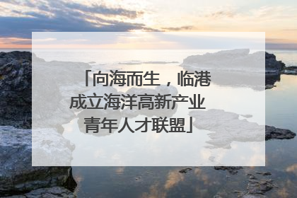 向海而生，临港成立海洋高新产业青年人才联盟