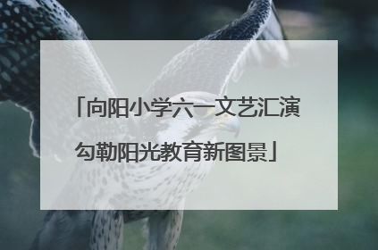 向阳小学六一文艺汇演勾勒阳光教育新图景