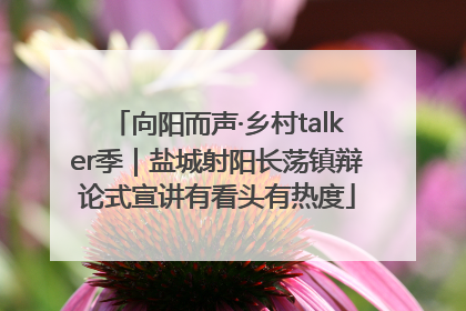 向阳而声·乡村talker季｜盐城射阳长荡镇辩论式宣讲有看头有热度