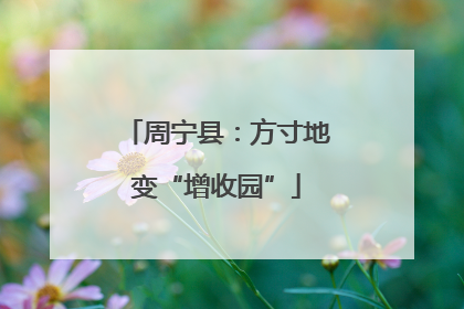 周宁县：方寸地变“增收园”