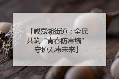 咸嘉湖街道：全民共筑“青春防毒墙” 守护无毒未来