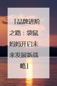 品牌进阶之路：袋鼠妈妈开启未来发展新战略
