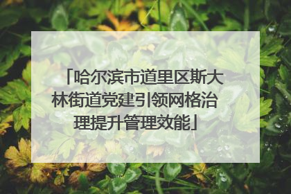 哈尔滨市道里区斯大林街道党建引领网格治理提升管理效能
