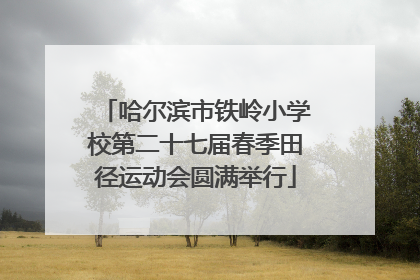 哈尔滨市铁岭小学校第二十七届春季田径运动会圆满举行
