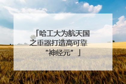 哈工大为航天国之重器打造高可靠“神经元”