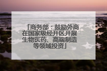 商务部：鼓励外商在国家级经开区开展生物医药、高端制造等领域投资