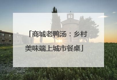商城老鸭汤：乡村美味端上城市餐桌