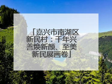 嘉兴市南湖区新民村：千年兴善焕新颜、至美新民展画卷