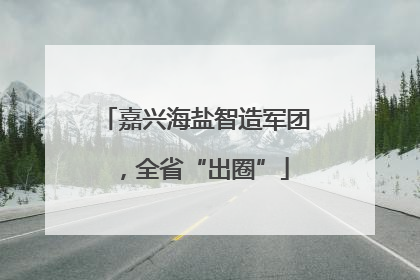 嘉兴海盐智造军团，全省“出圈”