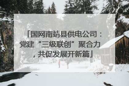 国网南靖县供电公司：党建“三级联创”聚合力，共促发展开新篇