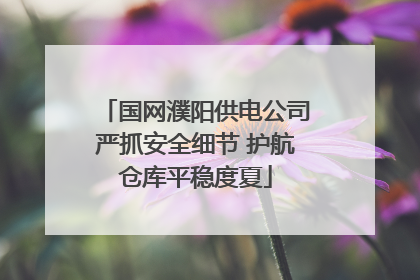 国网濮阳供电公司严抓安全细节 护航仓库平稳度夏