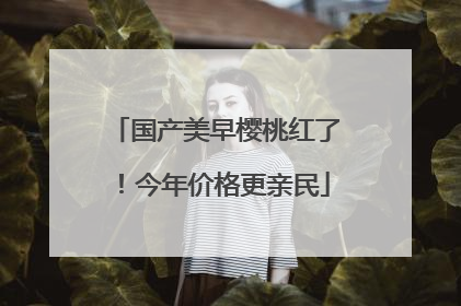 国产美早樱桃红了！今年价格更亲民