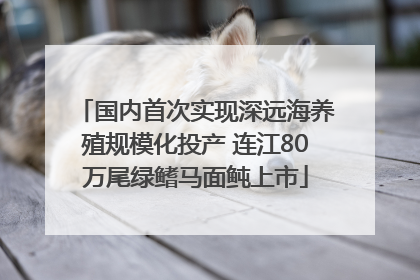 国内首次实现深远海养殖规模化投产 连江80万尾绿鳍马面鲀上市
