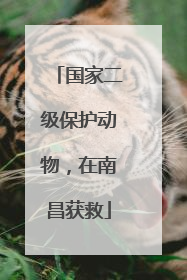 国家二级保护动物，在南昌获救