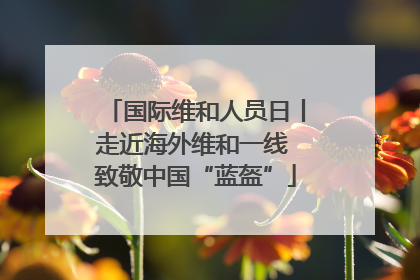 国际维和人员日丨走近海外维和一线 致敬中国“蓝盔”