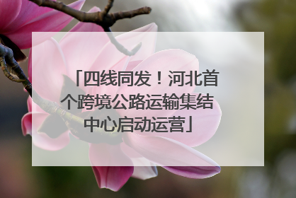 四线同发！河北首个跨境公路运输集结中心启动运营