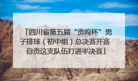 四川省第五届“贡嘎杯”男子排球（初中组）总决赛开赛 自贡这支队伍打进半决赛