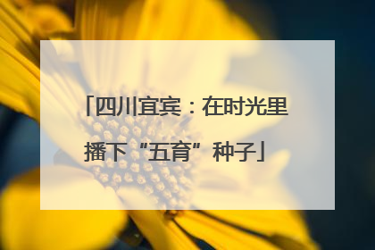 四川宜宾：在时光里播下“五育”种子